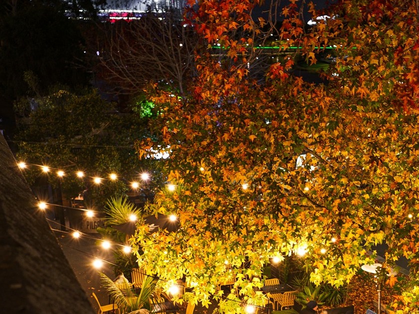 Patio under string lights and fall leaves at night